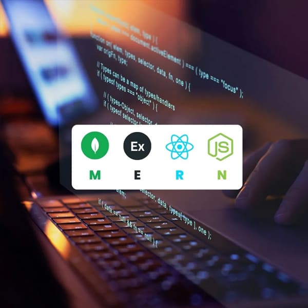 Apex MERN Developer Course