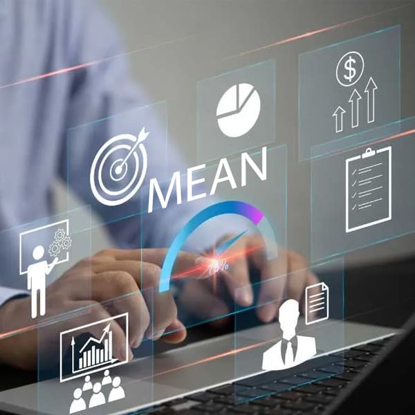 MEAN Professional Program