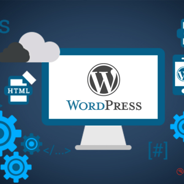 WordPress Advanced Expertise