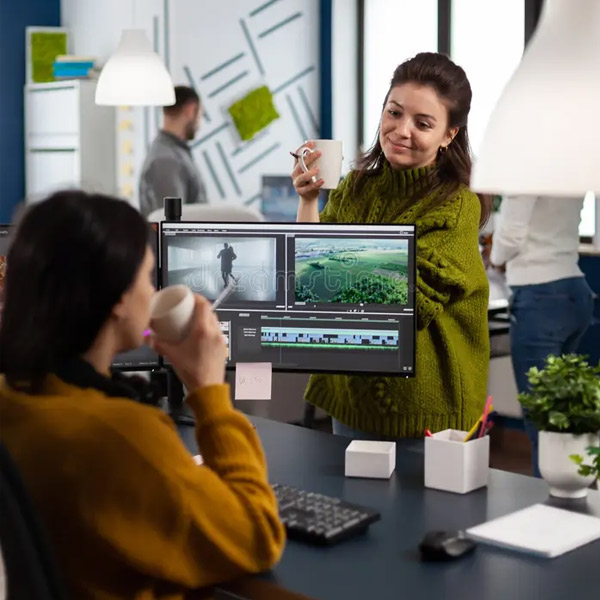 Professional Video Editing Program
