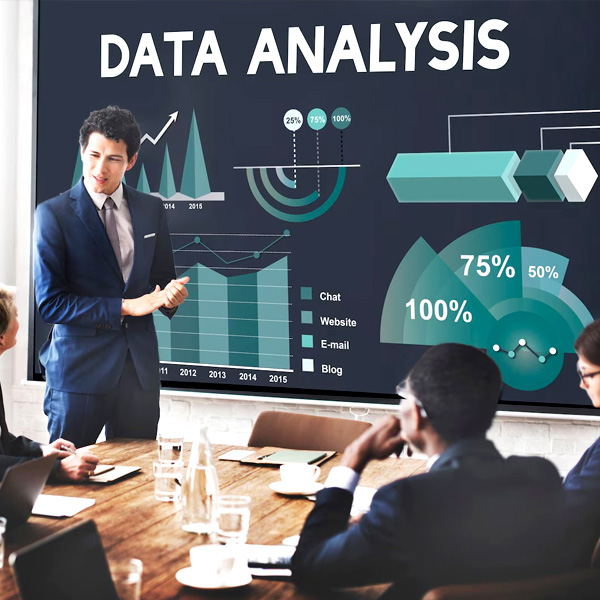 Strategic Business Analytics Program