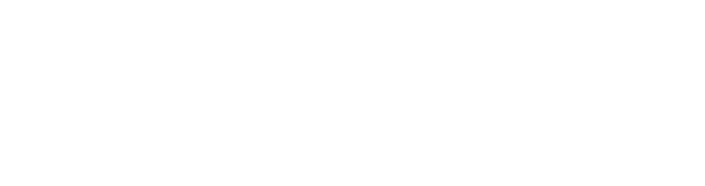 Solitaire Infosystems